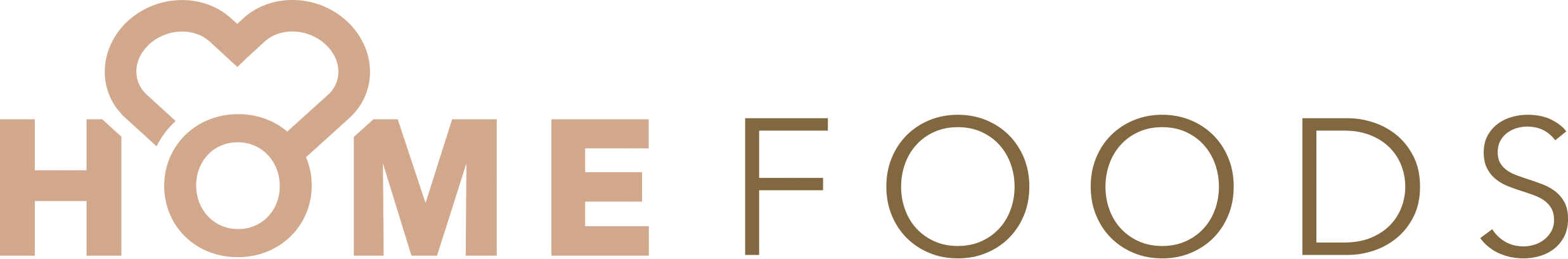 Logo home foods